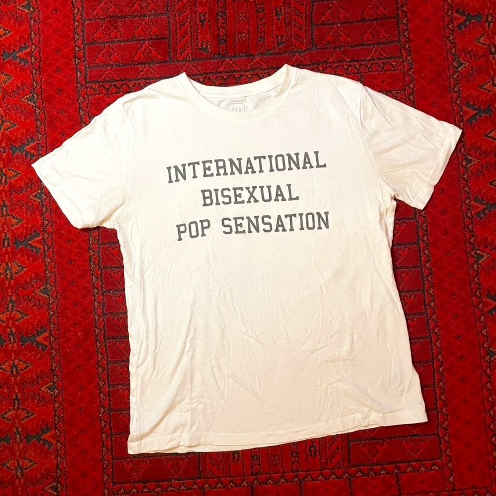🌈"International Bisexual Pop Sensation" Tee 🌈